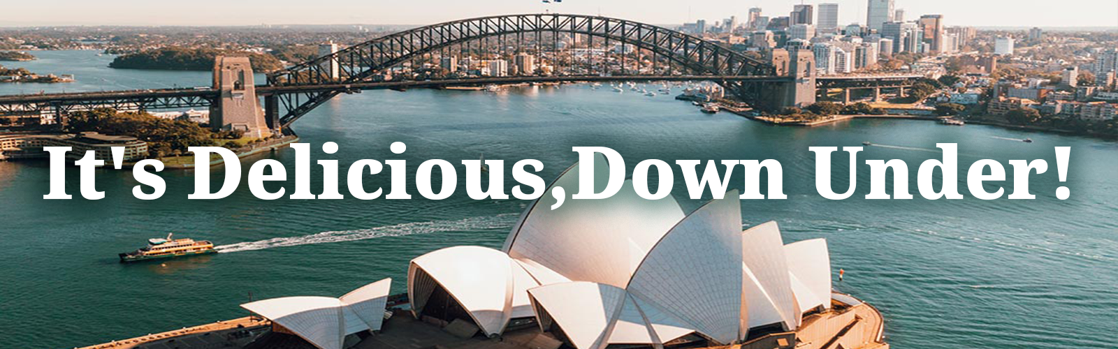 Aussie Pies Export Header